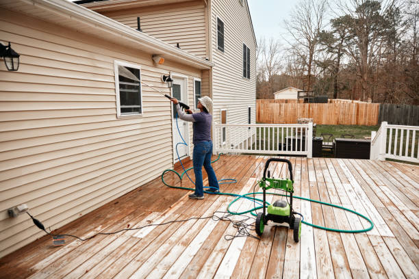Best Sidewalk Pressure Washing  in Palestine, IL