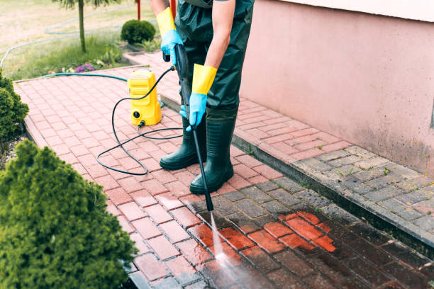Best Roof Power Washing Services  in Palestine, IL