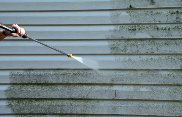 Best Exterior Home Cleaning  in Palestine, IL