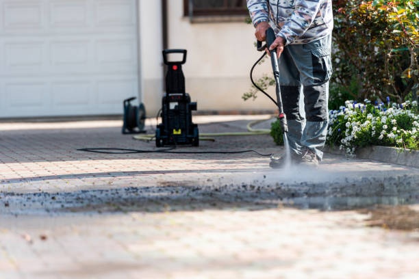 Best Pressure Washing Cost  in Palestine, IL