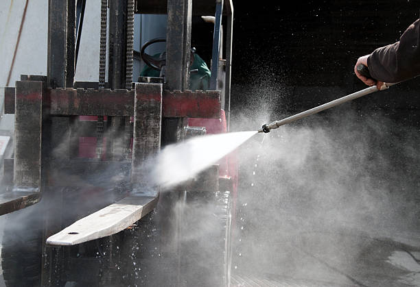 Best Local Pressure Washing Services  in Palestine, IL