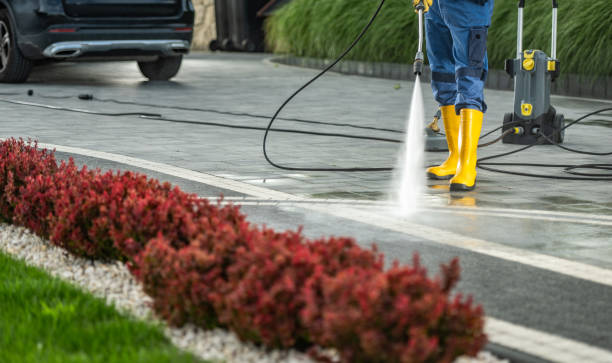Best Deck Pressure Washing  in Palestine, IL