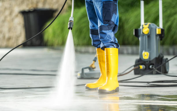 Best Commercial Building Pressure Washing  in Palestine, IL
