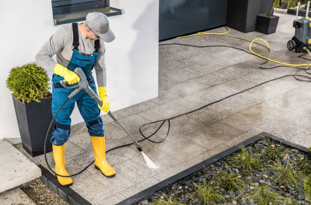 Best Local Pressure Washing Services  in Palestine, IL