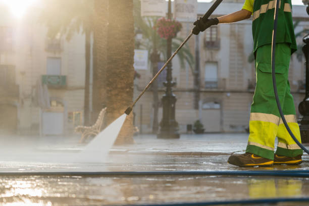 Best House Pressure Washing  in Palestine, IL