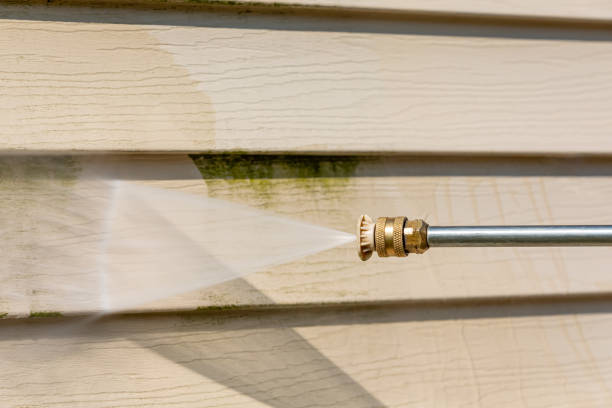 Best Pressure Washing Company Near Me  in Palestine, IL