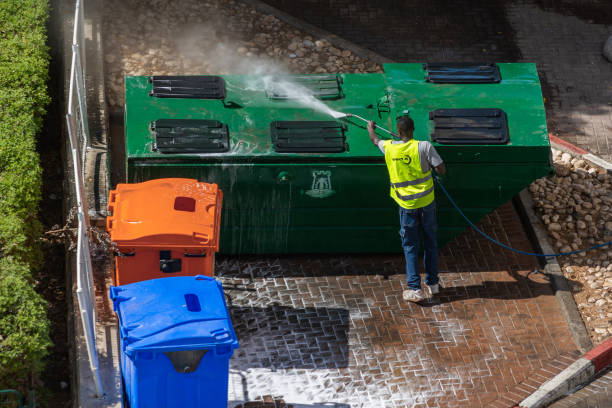 Best Roof Pressure Washing  in Palestine, IL